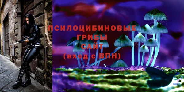 MESCALINE Белокуриха