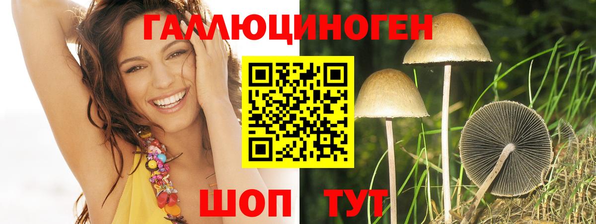 Гудермес  Галлюциногенные грибы мухоморы  Вход с VPN 